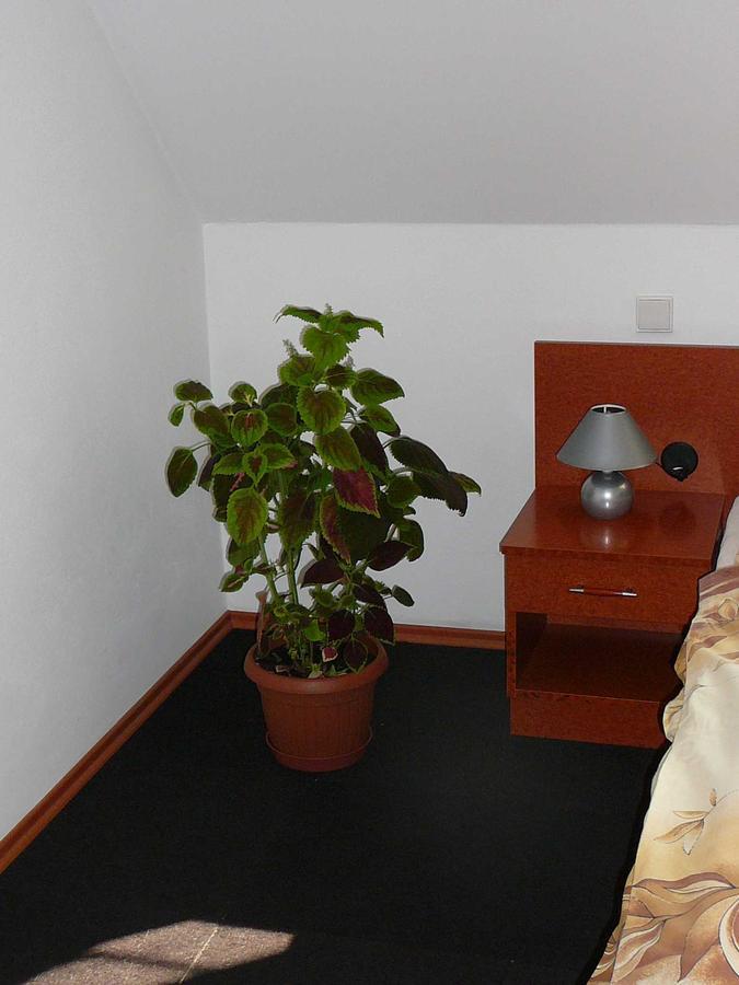Penzion Praktik Krumlov Přísečná Pokój zdjęcie